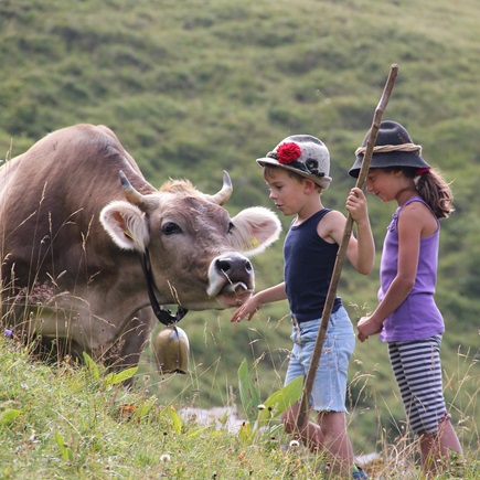 Beim Schneiderhof - Erlebe das Allgäu