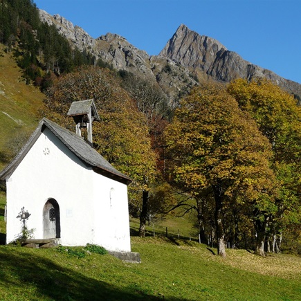 Beim Schneiderhof - Erlebe das Allgäu