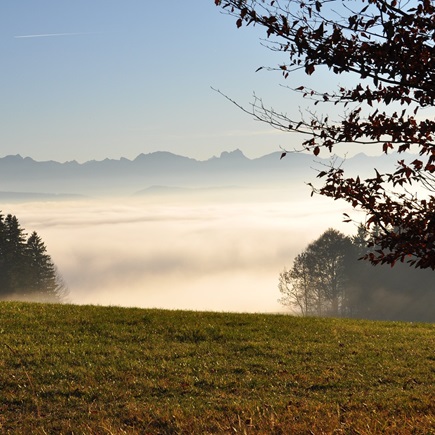 Beim Schneiderhof - Erlebe das Allgäu