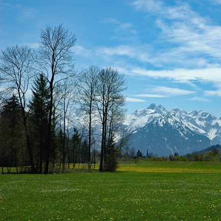 Beim Schneiderhof - Erlebe das Allgäu