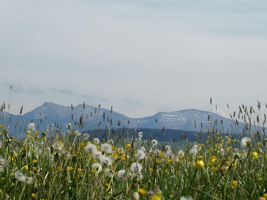 Beim Schneiderhof - Erlebe das Allgäu