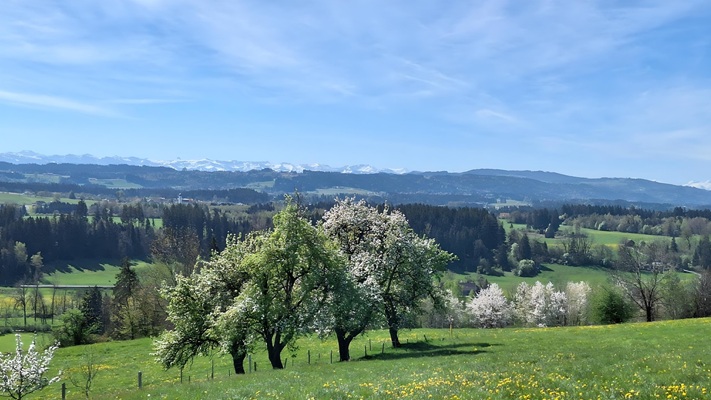 Beim Schneiderhof - Erlebe das Allgäu