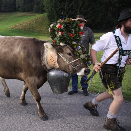 Beim Schneiderhof - Erlebe das Allgäu